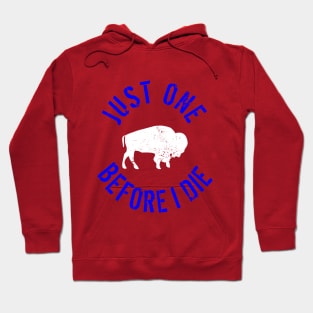 Buffalo Football Just One Before I Die Hoodie